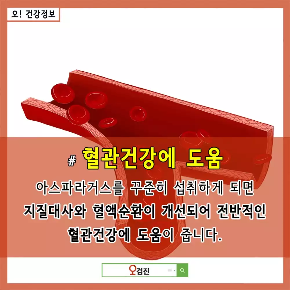 아스파라거스_혈관건강.jpg